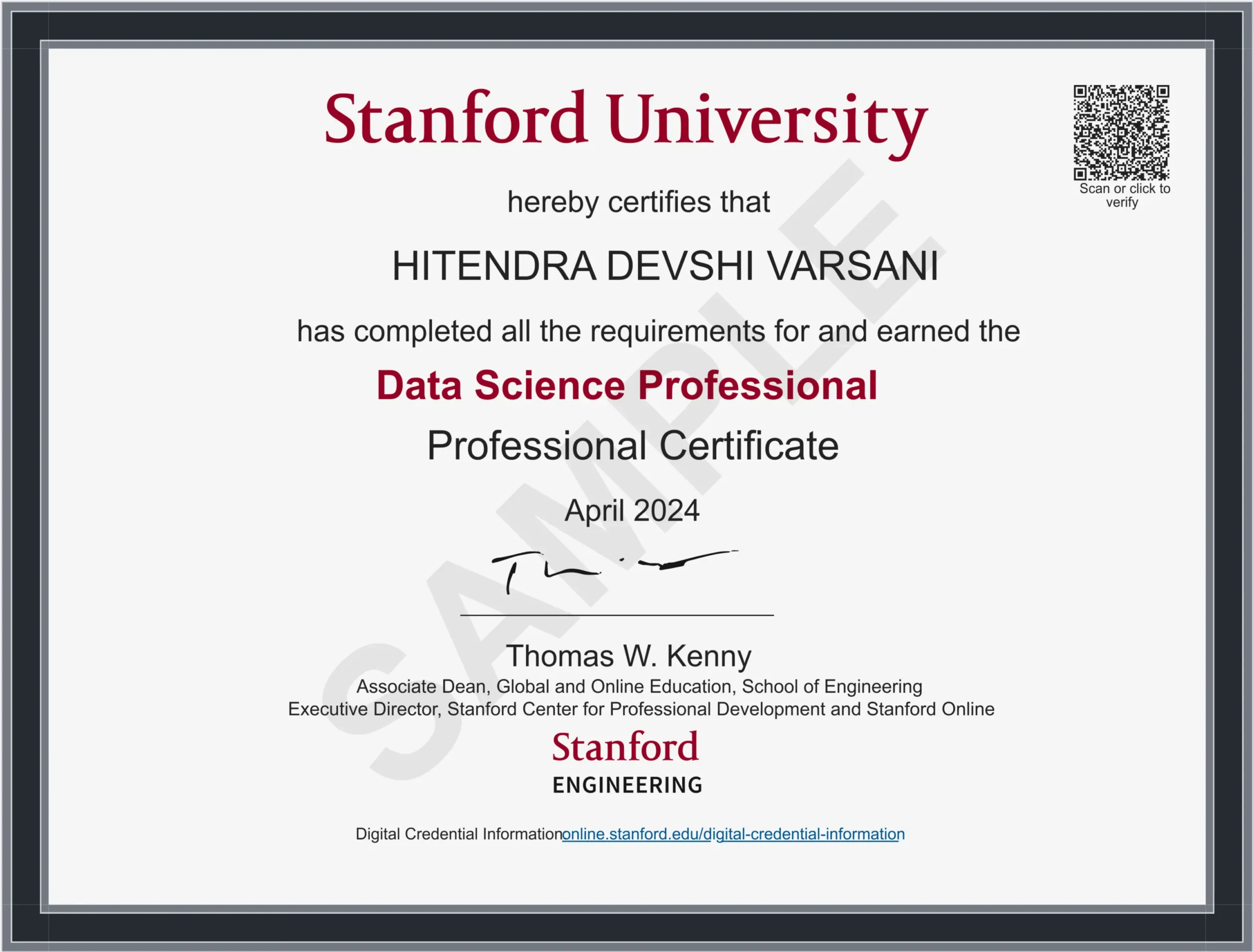 data science professional